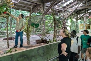 Panama: Monkey Island and Gatun Lake tour