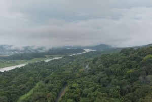 Panama : L'île aux singes et le canal de Panama : écotourisme et jungle