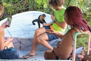 Panama : L'île aux singes et le canal de Panama : écotourisme et jungle