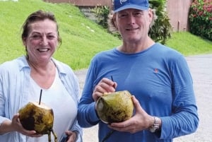 Panama : L'île aux singes et le canal de Panama : écotourisme et jungle