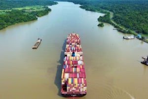 Panama: Eco-Tour dell'Isola delle Scimmie e del Canale di Panama e della giungla