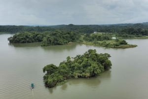 Panamá: Eco-Tour Isla de los Monos y Canal de Panamá & Selva