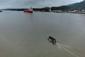 Panama : L'île aux singes et le canal de Panama : écotourisme et jungle