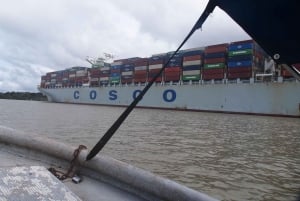 Panamá: Isla de los Monos Lago Gatún Paseo en barco