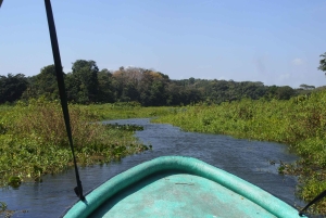Panama: Monkey Island Gatun Lake Boat ride