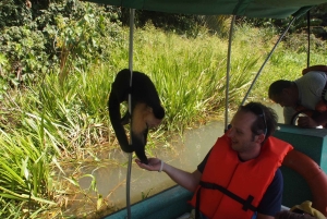 Panama: Monkey Island Gatun Lake Boat ride