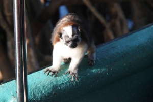 Panama: Monkey Island Gatun Lake Boat ride
