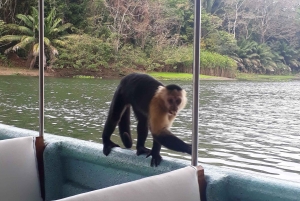 Panama: Monkey Island Gatun Lake Boat ride