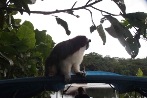Panama: Monkey Island Gatun Lake Boat ride