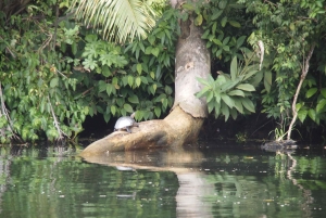 Panama: Monkey Island Gatun Lake Boat ride