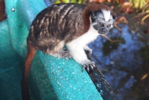 Panama: Monkey Island Gatun Lake Boat ride