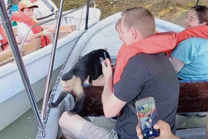 Panamá: Ilha dos Macacos, Santuário da Preguiça e Passeio ao Lago Gatun