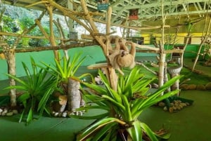 Panamá: Excursión a la Isla de los Monos, el Santuario de los Perezosos y el Lago Gatún