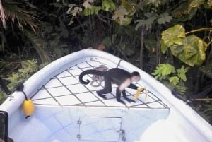 Panama: Monkey Island, Sloth Sanctuary and Gatun Lake Tour