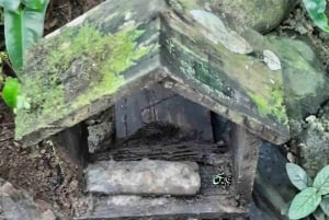 Panama: Monkey Island, Sloth Sanctuary and Gatun Lake Tour