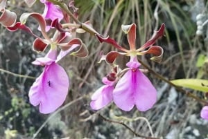 Panama: Monkey Island, Sloth Sanctuary and Gatun Lake Tour