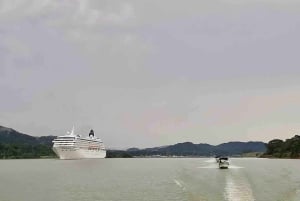 Panama: Monkey Island, Sloth Sanctuary and Gatun Lake Tour