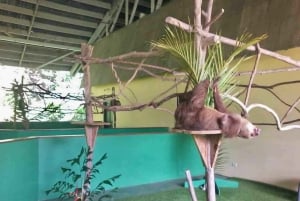 Panama: Monkey Island, Sloth Sanctuary and Gatun Lake Tour