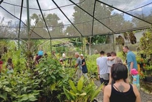 Panama: Monkey Island, Sloth Sanctuary and Gatun Lake Tour