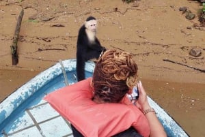 Panamá: Isla de los Monos, Santuario de los Perezosos y Visita al Canal de Panamá