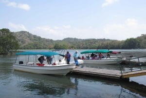 Panama: Apeneiland, Sloth Sanctuary Tour en Panamakanaal