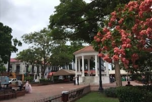 Panama : Tour guidato a piedi con una guida dei siti da non perdere