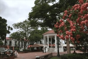 Panama : Must-See Sites Walking Tour With A Guide