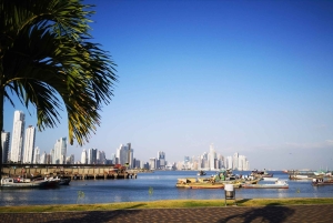 Panama: Night Tour and The Point Lookout