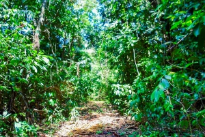 Panamá: canal, bosque tropical y fuerte de San Lorenzo