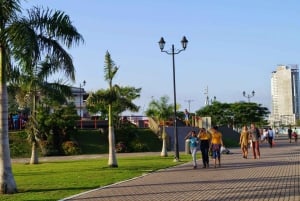 Panama: Tur til Panama by + Panamakanalen (Miraflores-slusene)