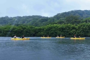 Panama: Portobelo Jungle & Reef Eco Tour: kajakken, snorkelen, wandelen