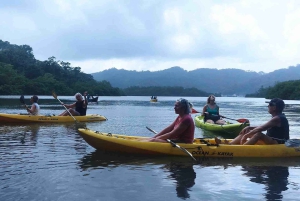 Panama: Portobelo Jungle & Reef Eco Tour: kajakken, snorkelen, wandelen