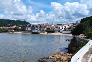 Panama Private Layover Canal & City Tour