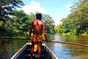 Panama: Private Tour-Explore the Secrets and Culture of the Embera Tribe.