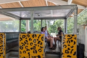 Panama: Private Transfer from Tocumen Airport