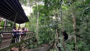 Centro de Descubrimiento de la Selva Tropical de Panamá