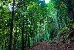 Panama: Rio Piedra Farm Entry Ticket and Hiking Trails