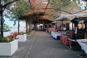 Panama: Stopover City Tour, Canal visit with a Local Guide