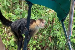 Stopover i Panama: Udforsk byen som aldrig før.