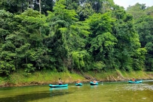 Panama: The Chagres Rainforest Experience