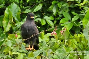 Panama Wildlife Gamboa Boat Tour & Canal Visitor Center