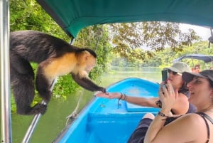 Panama Wildlife Gamboa Boat Tour & Canal Visitor Center