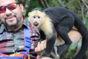 Panama Wildlife Gamboa Boat Tour & Canal Visitor Center