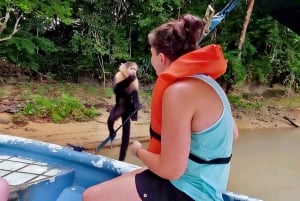 Panama Wildlife Safari: Monkey Island Adventure Tour