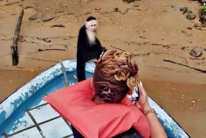 Safari nella natura di Panama: Tour d'avventura dell'Isola delle Scimmie