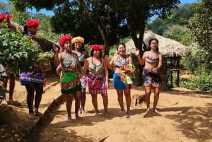 Panana City: Embera-stammen och vattenfall med lunch