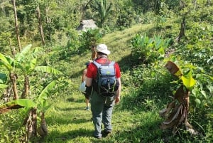 Panana City: Embera-stammen och vattenfall med lunch