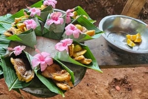 Panana City: Embera-heimo ja vesiputous lounaalla.