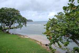 Paseo en 4 Islas paradisíacas de Portobelo conguía, salvavida