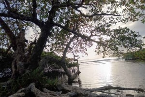 Paseo en 4 Islas paradisíacas de Portobelo conguía, salvavida